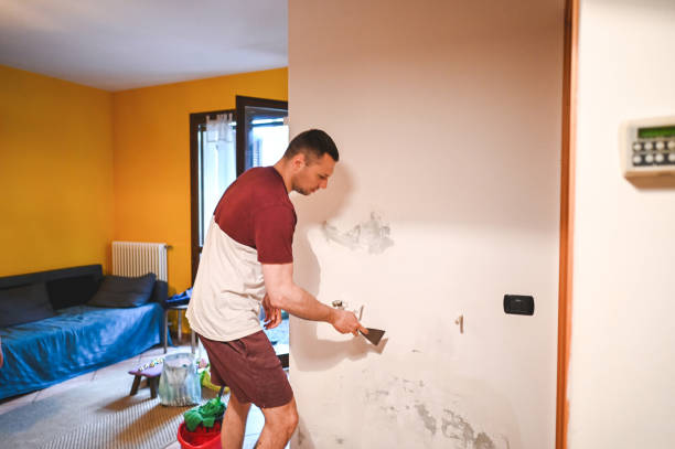 Best Home Mold Removal  in Potterville, MI