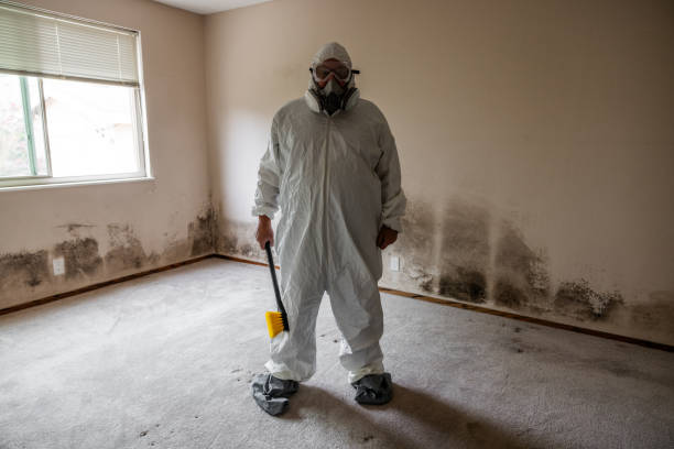 Best Professional Mold Removal  in Potterville, MI
